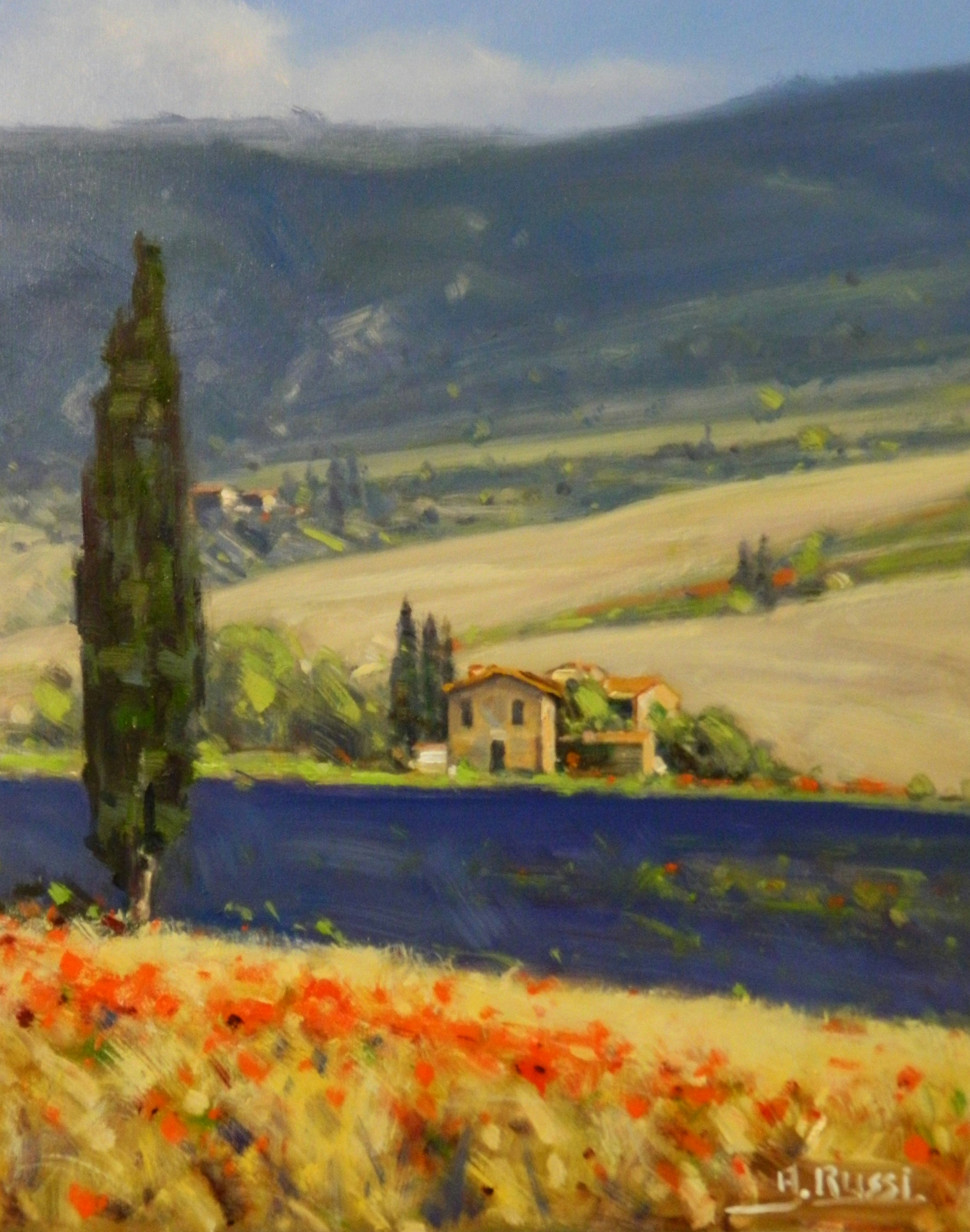 Antonio Tuscany fields 40x50
